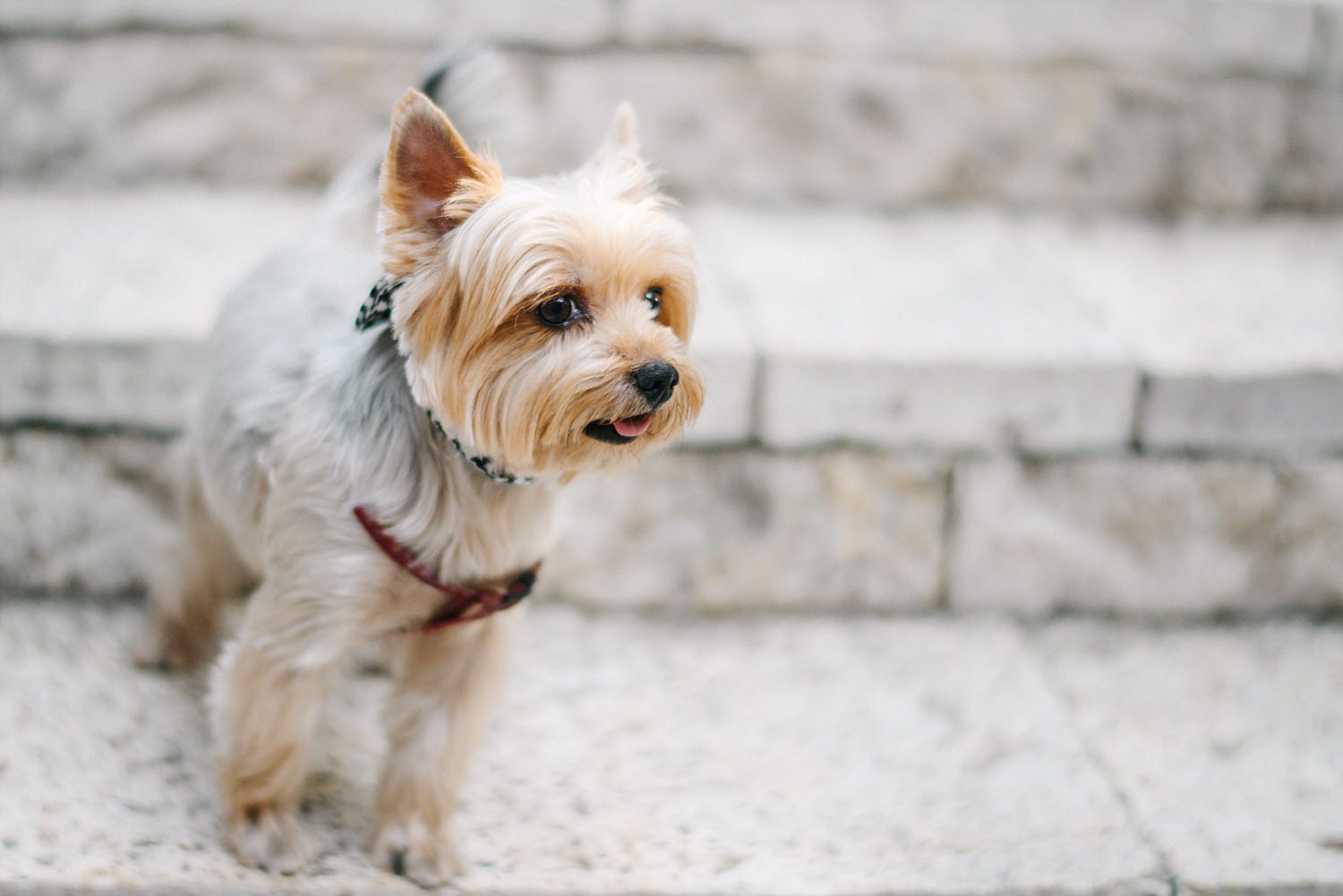 wedding at Nasioutzik Mansion - Athens