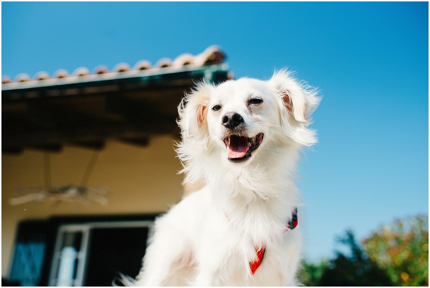 Wedding By The Sea Greece 1