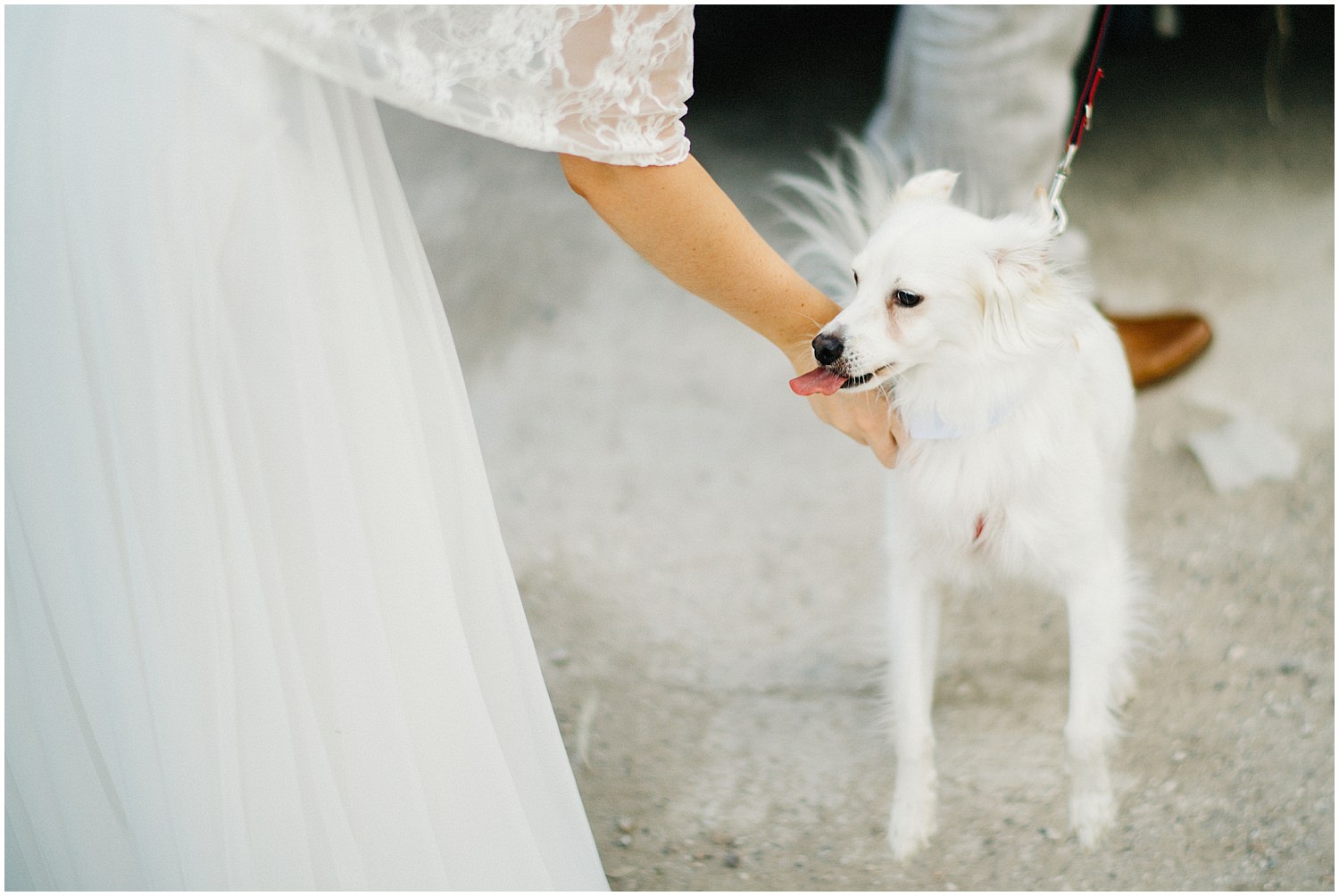 Wedding By The Sea Greece 46