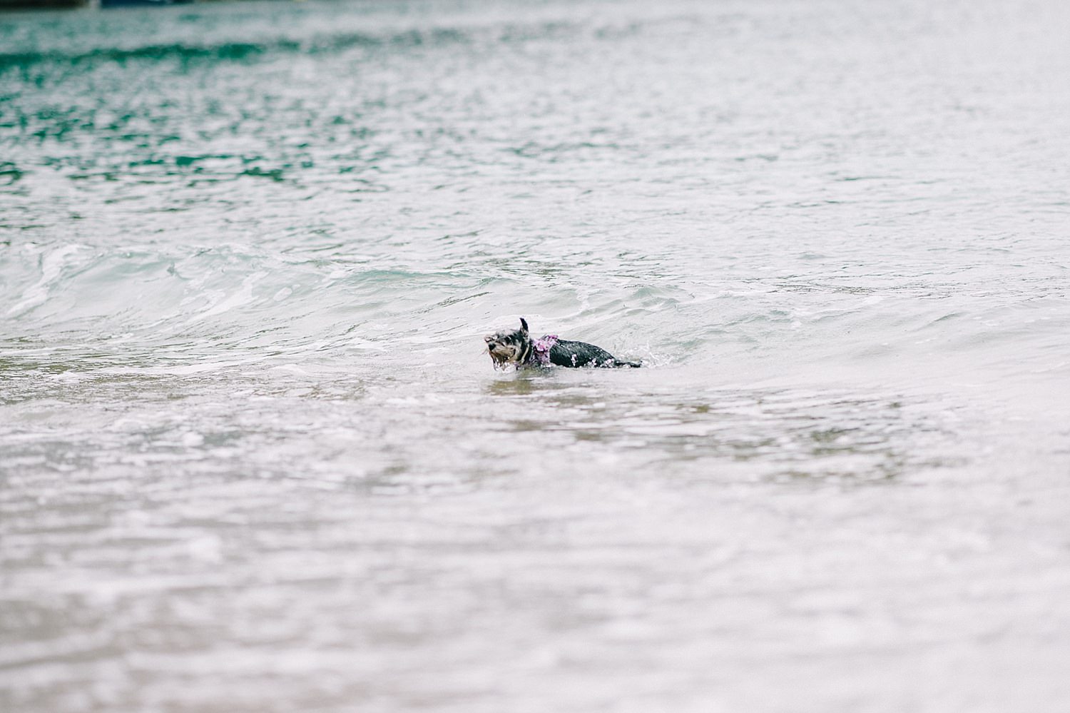 Wedding In Skopelos46