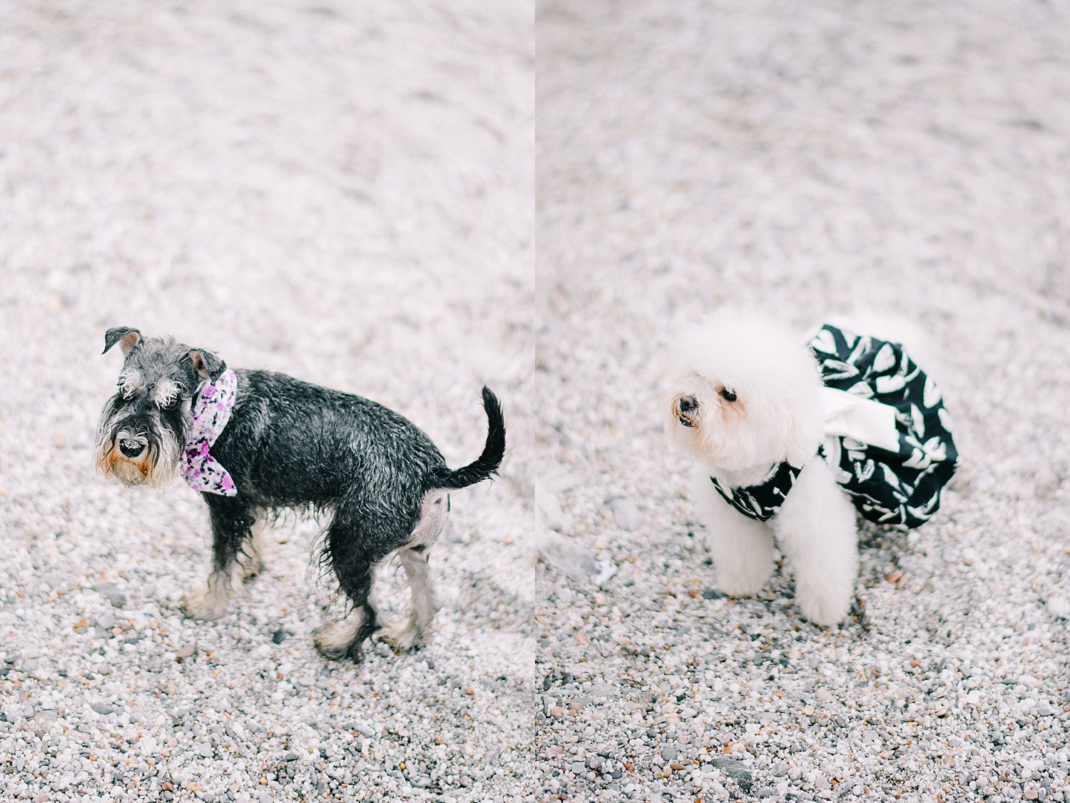 Wedding In Skopelos68