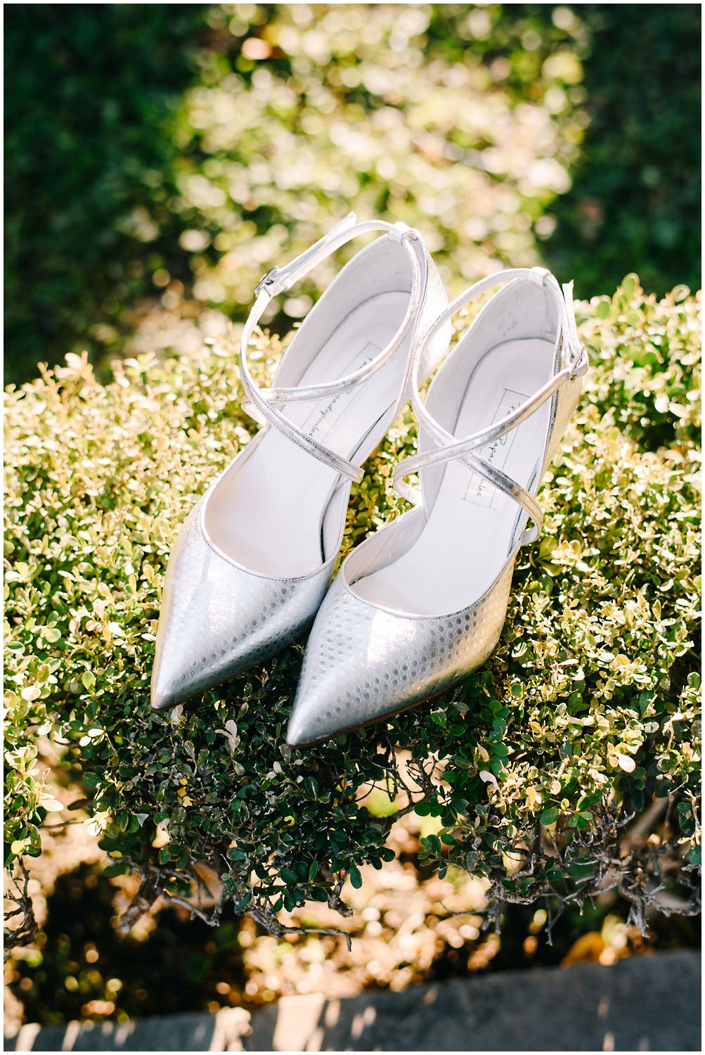 Xeimerinos Gamos Athina 002