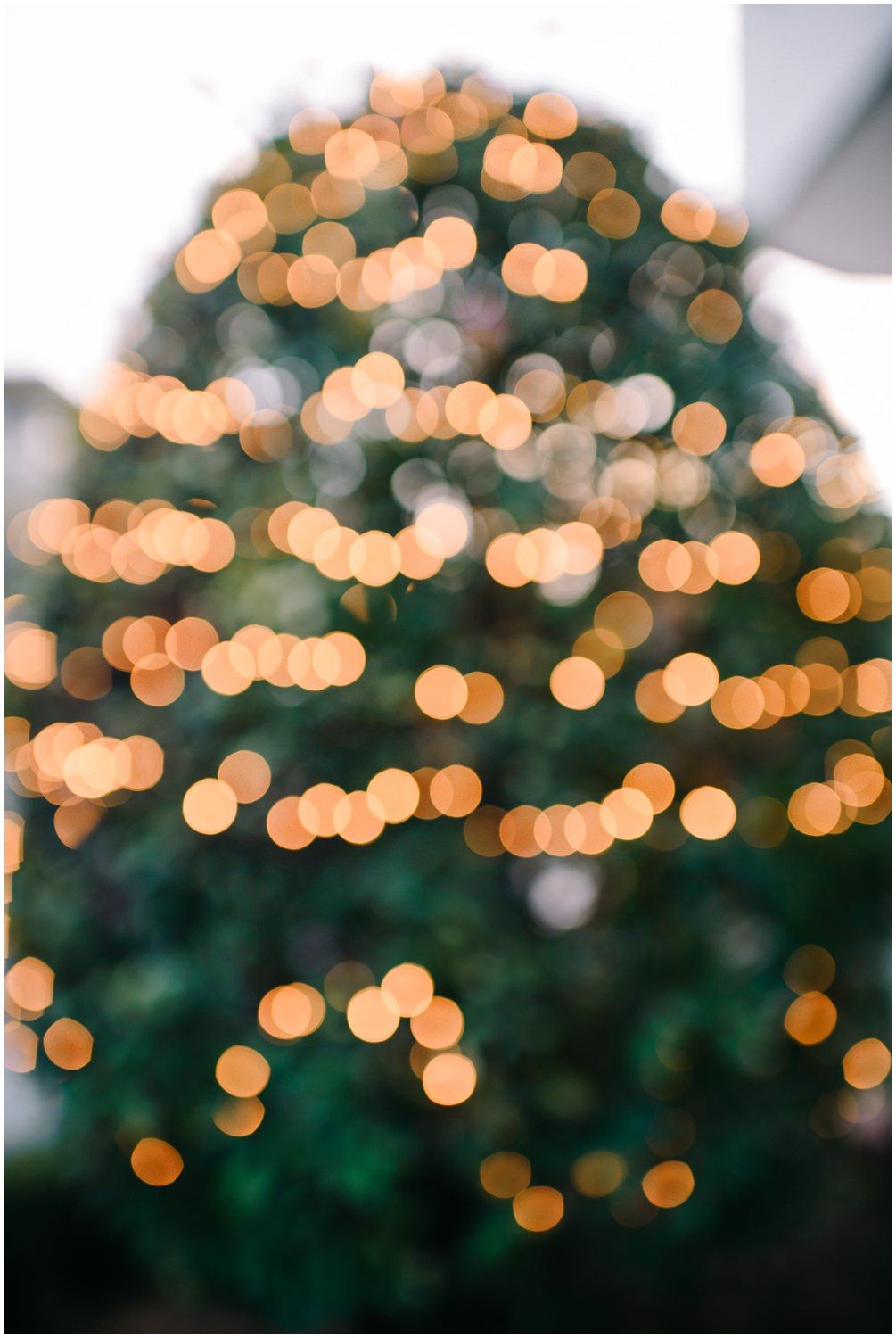 Xeimerinos Gamos Athina 016